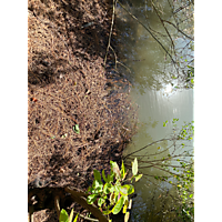 King tide image
